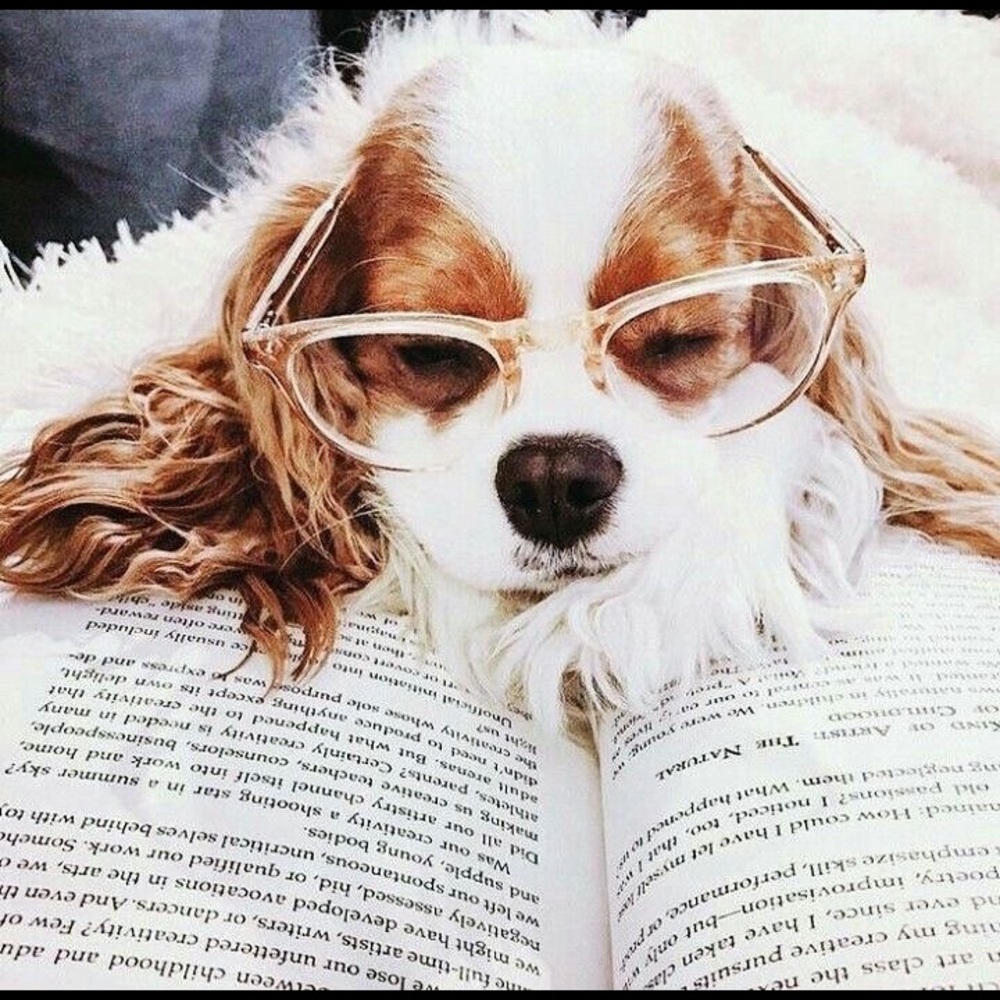 Meet your Posher, Jill